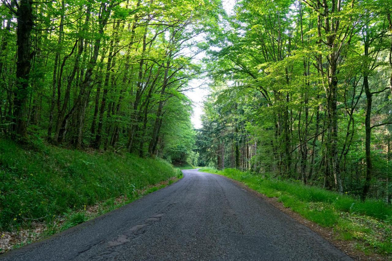 مبيت وإفطار Cenves Ce Petit Chemin المظهر الخارجي الصورة